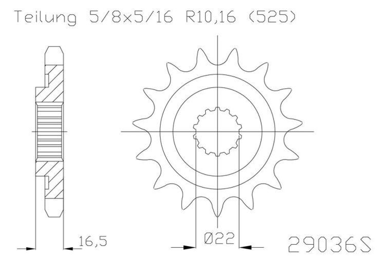 ESJOT Kettenritzel Sport, 14 Zähne diverse Modelle (Stück)