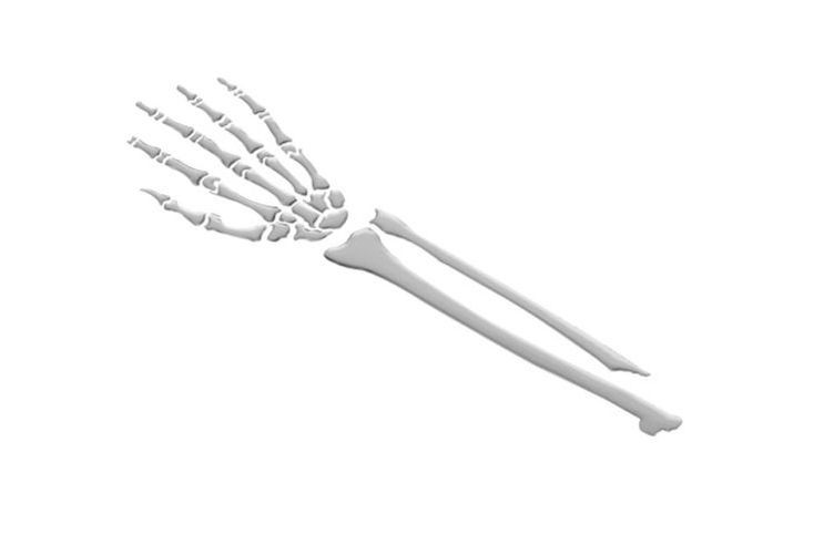 HIGHWAY HAWK 3-D Aufkleber Skeleton Arm chrom (Stück)