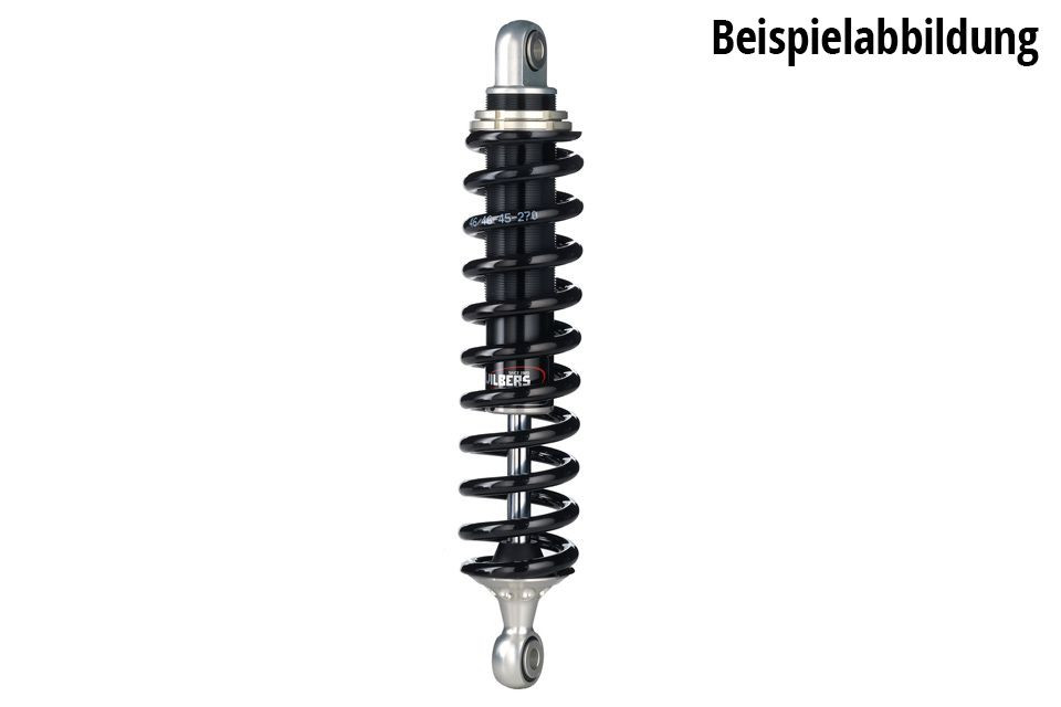 WILBERS Monofederbein ROAD 530, für BETA Alp 4. 0, 01-