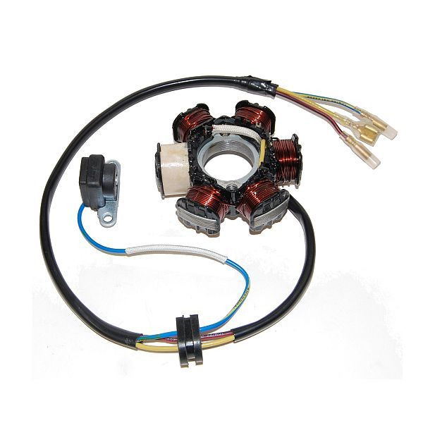 ElectroSport Stator ESG122 honda (Stück)