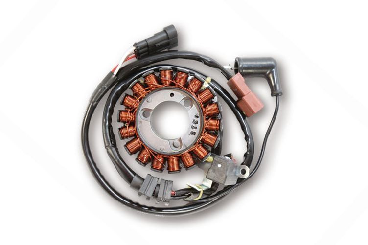 ElectroSport Stator ESG197 piaggio (Stück)