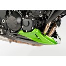 BODYSTYLE Sportsline Bugspoiler grün/schwarz Candy Lime Green, 17P/Ebony, H8 ABE passt für Kawasaki Z750R