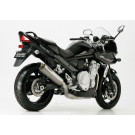 SHARK SRC 4 Auspuff Titan EG-BE passt für SUZUKI GSF 1250 Bandit(07-16)/GSF 1250