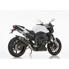 SHARK SRC 4 Auspuff Carbon EG-BE passt für YAMAHA FZ1(06-15)/FZ1 Fazer(06-15)