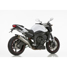 SHARK SRC 4 Auspuffanlage Titan EG-BE passt für YAMAHA FZ1(06-15)/FZ1 Fazer(06-1