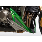 BODYSTYLE Sportsline Bugspoiler unlackiert ABE passt für Yamaha FZS1000 Fazer