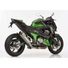 SHARK SRC 4 Auspuff Titan EG-BE passt für KAWASAKI Z800(13-16)/Z800(13-16)