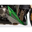 KLW*BODYSTYLE Sportsline Bugspoiler grün Golden Blazed Green, 40R ABE passt für Kawasaki Z1000