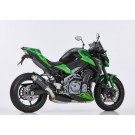 HURRIC Supersport Auspuff Short Carbon EG-BE passt für Kawasaki Z900 (70 kW)