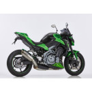 SHARK SRC 4 Auspuff Short Titan EG-BE passt für KAWASAKI Z900(20-24)