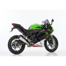 SHARK DSX-7 Auspuff Short silber EG-BE passt für KAWASAKI Ninja 125(21-24)/Ninja