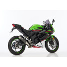 HURRIC Supersport Auspuff Short Carbon EG-BE passt für KAWASAKI Ninja 125(21-24)