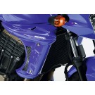 BODYSTYLE Sportsline Kühlerseitenverkleidung unlackiert passt für Kawasaki Z750