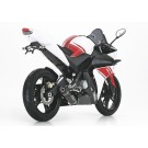 SHARK Street GP Auspuffanlage Carbon EG-BE passt für YAMAHA YZF-R125(08-13)