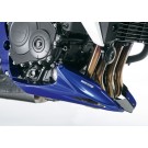BODYSTYLE Sportsline Bugspoiler grau-matt/gold Mat Cynos Grey Metallic, NH312F ABE passt für Honda CB1000R