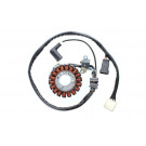 ElectroSport Stator ESG199 (Stück)