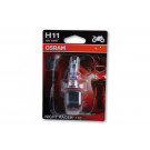 H11 Glühlampe, NIGHT RACER 110, 12V 55W PGJ19-2 (Stück)