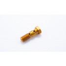 LSL Alu-Doppelhohlschraube M10x1.25, gold (Stück)