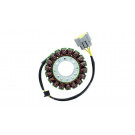ElectroSport Stator ESG655 für Lichtmaschine