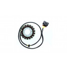 ElectroSport Stator ESG996 für Lichtmaschine