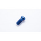 LSL Alu-Hohlschraube M10x1.25, blau (Stück)
