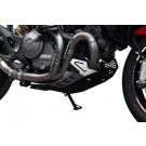 IBEX Motorschutz Ducati Monster 821 Bj.14- Schwarz (Stück)
