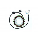 ElectroSport Stator ESG075 (Stück)