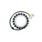 ElectroSport Stator ESG100 (Stück)