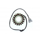 ElectroSport Stator ESG710 triumph (Stück)