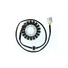 ElectroSport Stator ESG127 kawasaki (Stück)