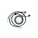 ElectroSport Stator ESG657 Suzuki (Stück)
