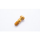 LSL Alu-Doppelhohlschraube M10x1.00, gold (Stück)